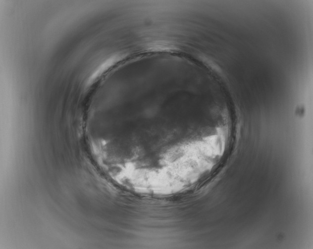 X0000112901306200909181926