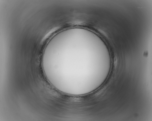 X0000112901309200909181926