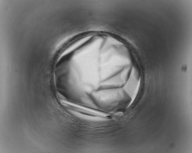 X0000112901311200909181926
