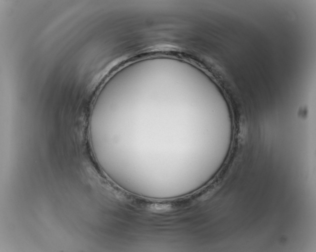 X0000112901313200909181926