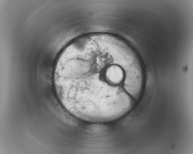 X0000112901314200909181926
