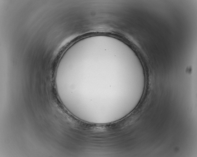 X0000112901315200909181926