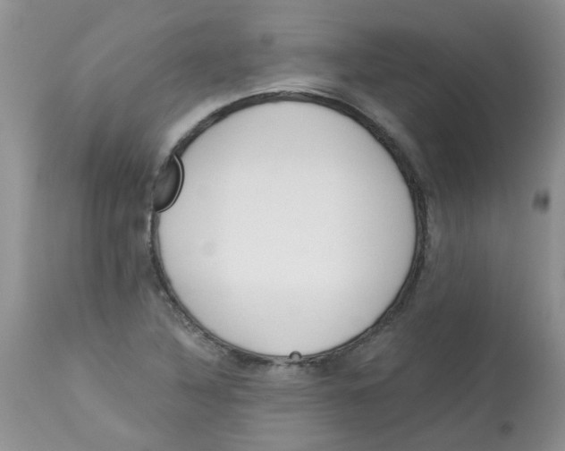 X0000112901316200909181926