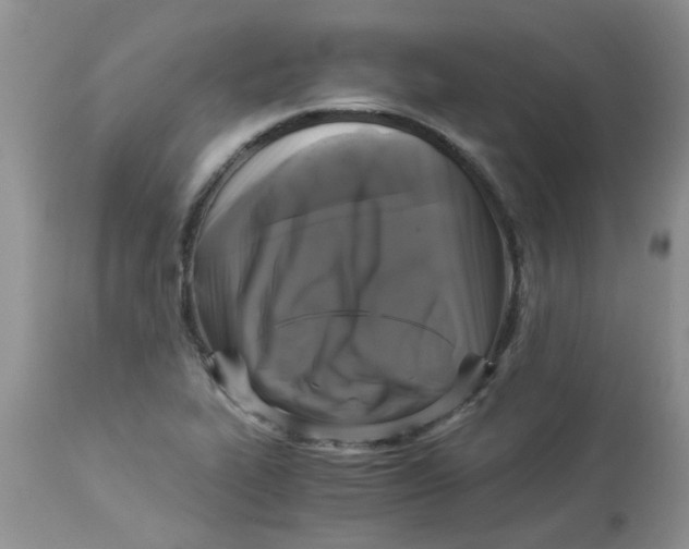 X0000112901319200909181926