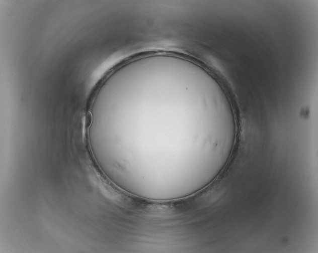X0000112901320200909181926