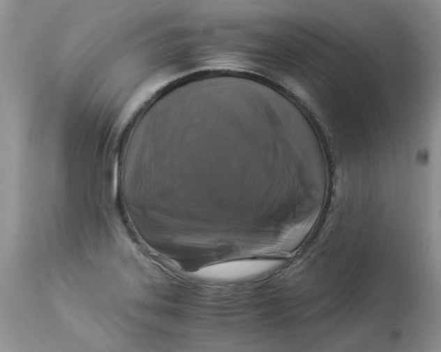 X0000112901323200909181926