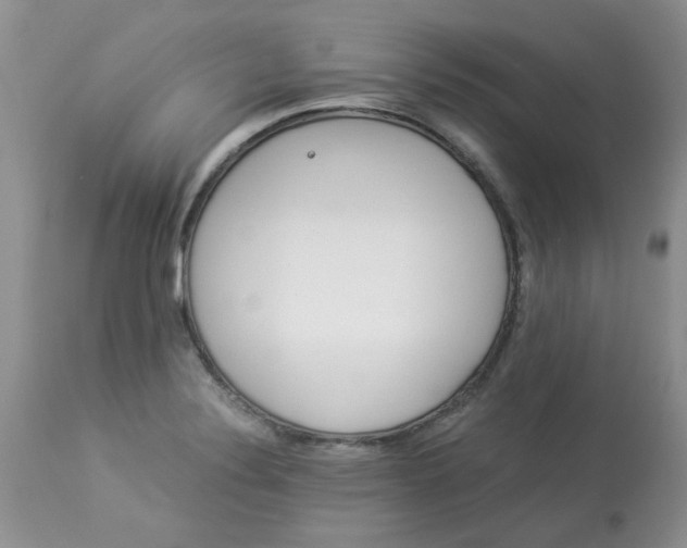 X0000112901324200909181926