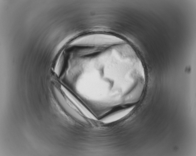 X0000112901325200909181926