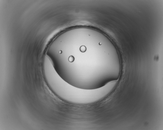 X0000112901326200909181926