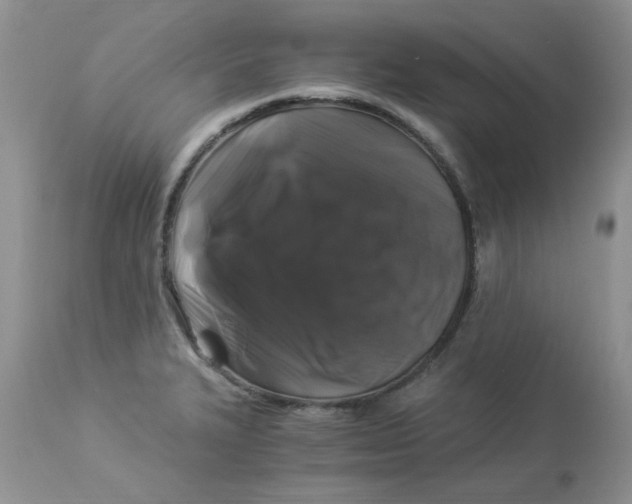 X0000112901327200909181926