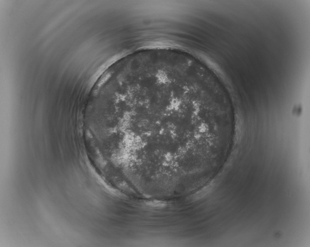 X0000112901329200909181926