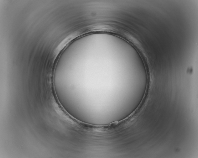 X0000112901330200909181926