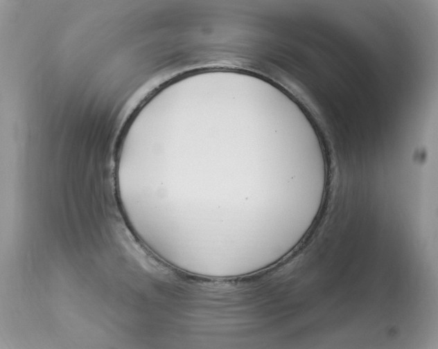 X0000112901332200909181926