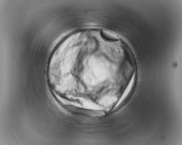 X0000112901333200909181926