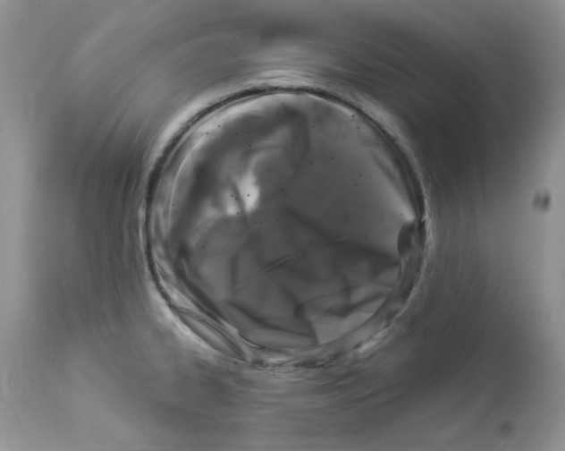 X0000112901334200909181926
