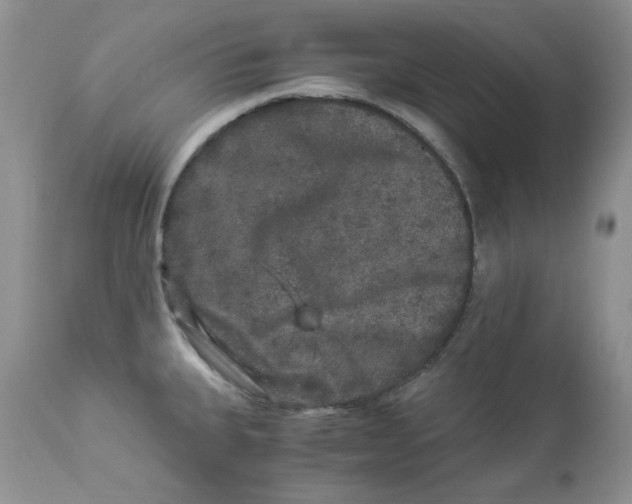 X0000112901335200909181926