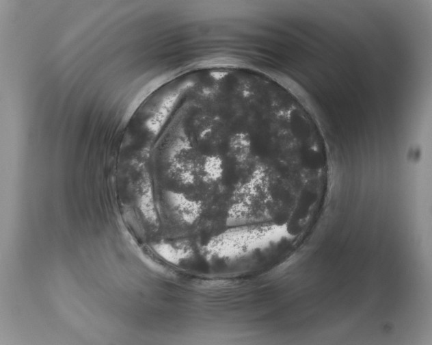 X0000112901337200909181927