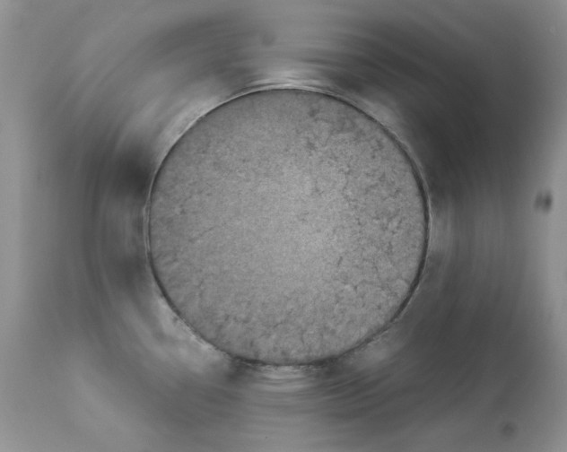 X0000112901338200909181927