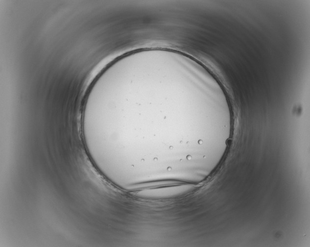 X0000112901340200909181927