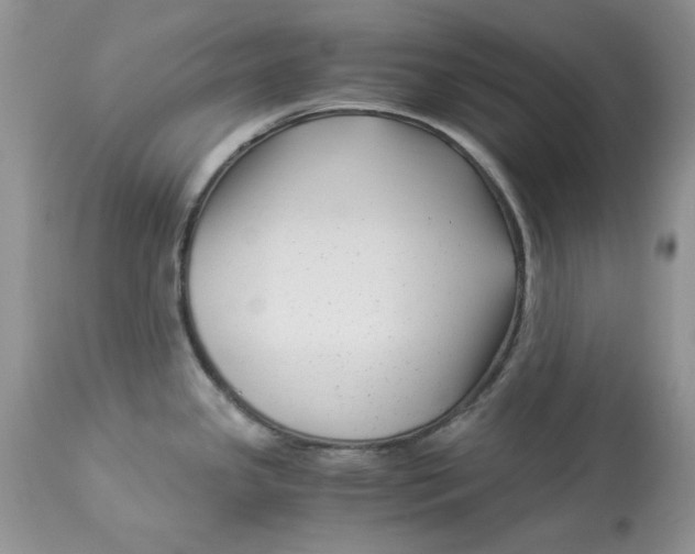 X0000112901341200909181927