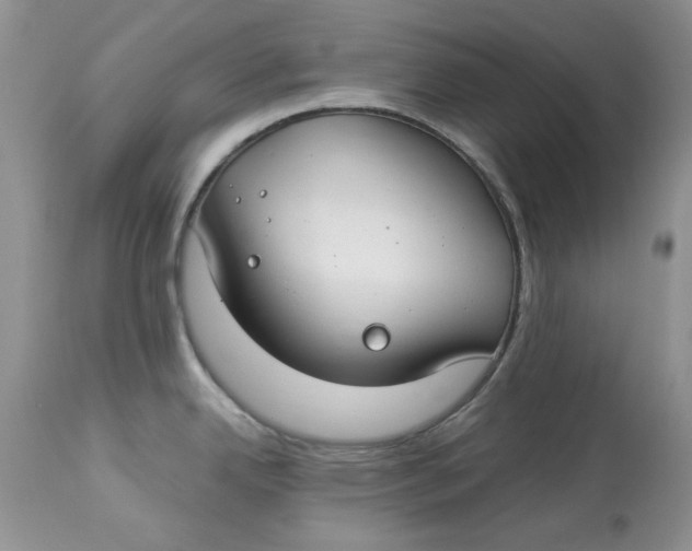 X0000112901342200909181927