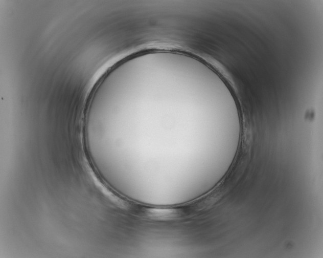 X0000112901343200909181927
