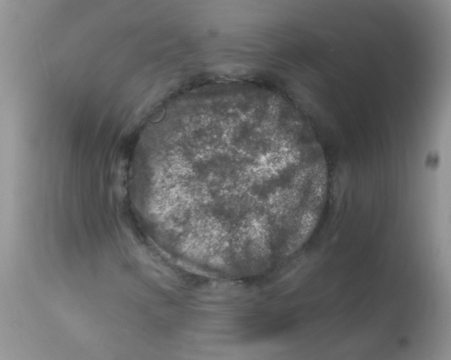 X0000112901346200909181926