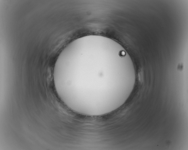X0000112901347200909181926