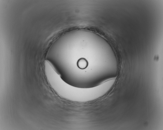 X0000112901349200909181926