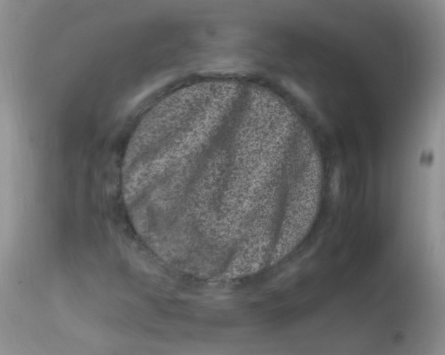 X0000112901350200909181926