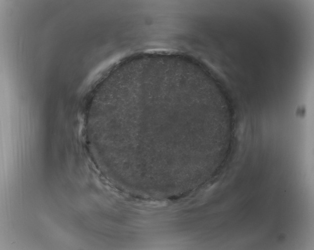 X0000112901351200909181926