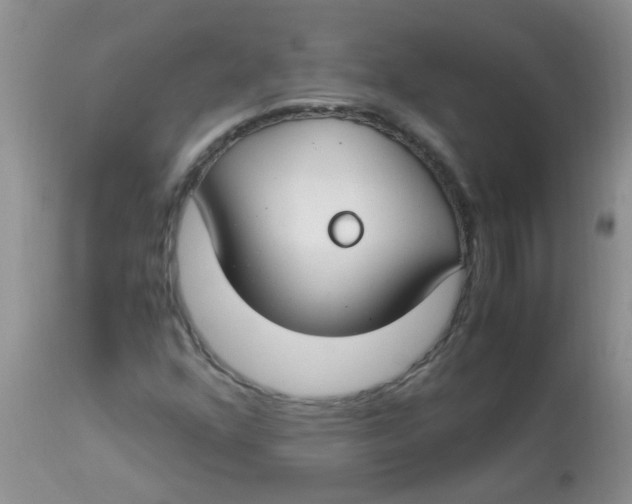 X0000112901352200909181926