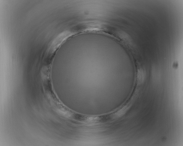 X0000112901353200909181926