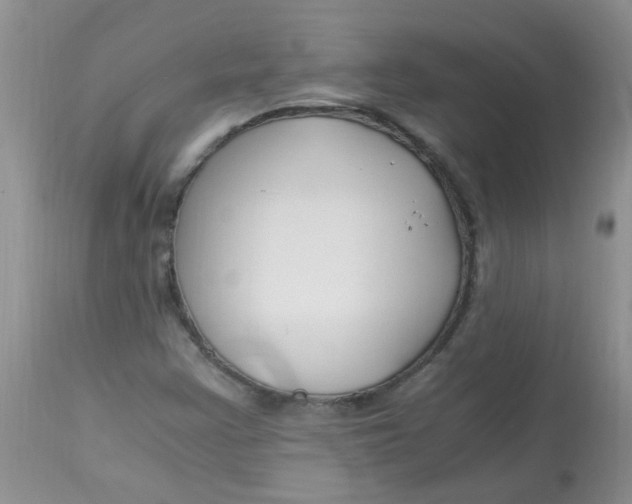 X0000112901355200909181926