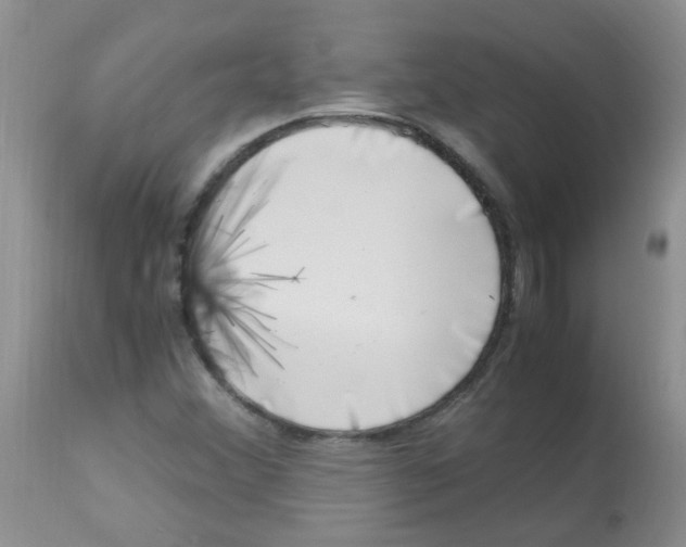 X0000112901356200909181926