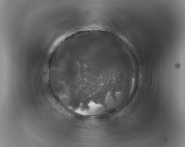 X0000112901358200909181926
