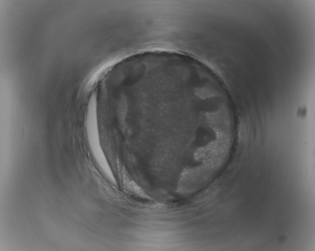 X0000112901359200909181926