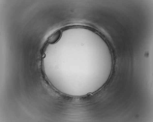 X0000112901360200909181926