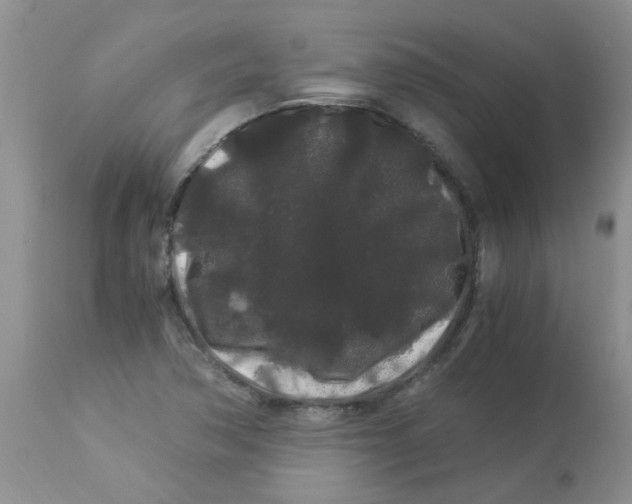 X0000112901362200909181926