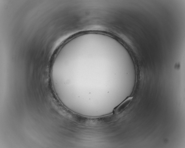X0000112901364200909181926