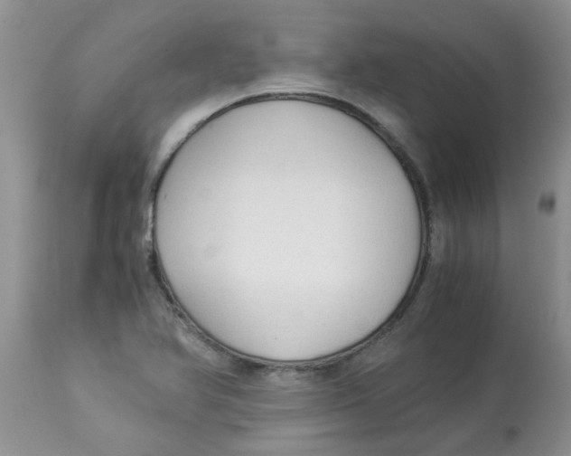 X0000112901366200909181926