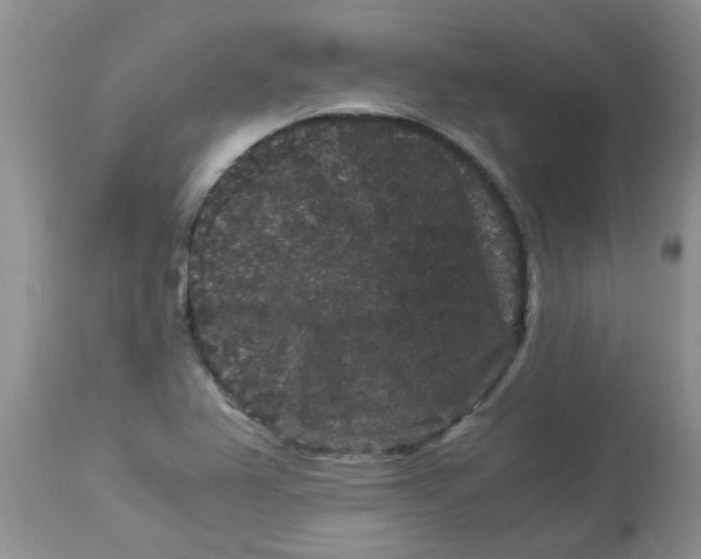 X0000112901367200909181926