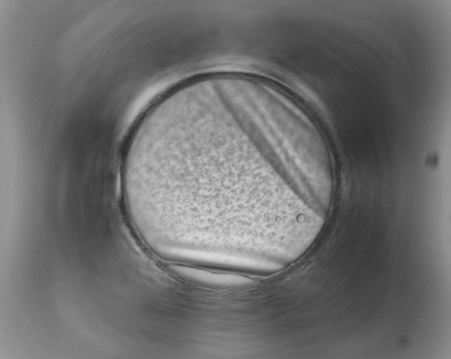 X0000112901368200909181926