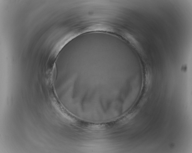 X0000112901369200909181926