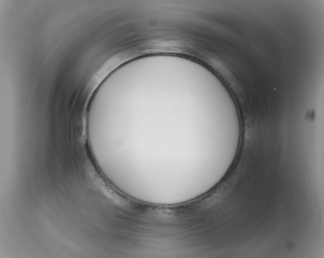 X0000112901370200909181926