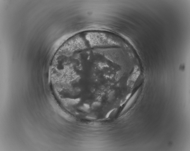 X0000112901371200909181926