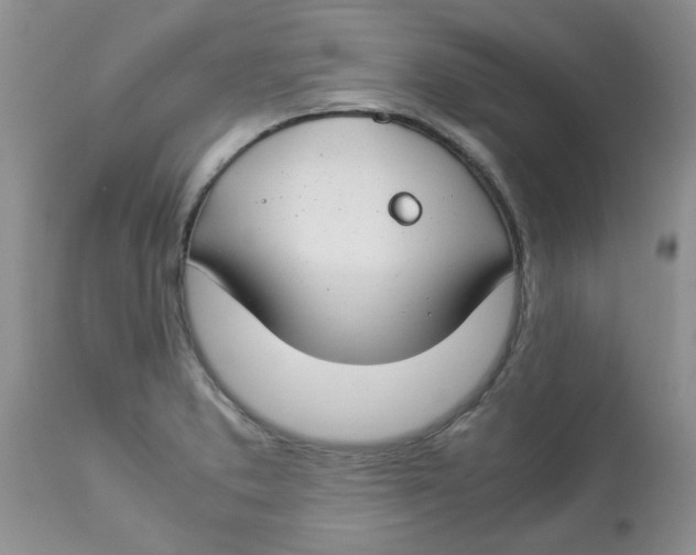 X0000112901373200909181926