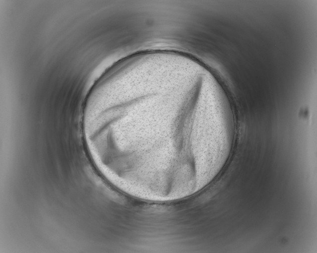 X0000112901374200909181925