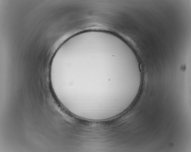 X0000112901375200909181925