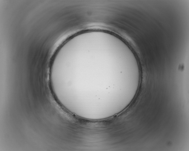 X0000112901376200909181925